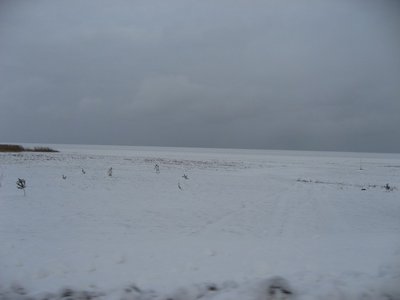 IMG_6415.jpg