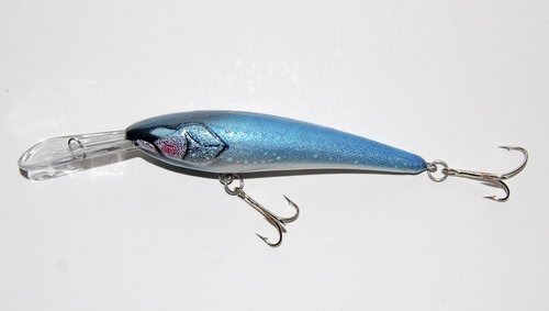 1nDSC_1109.jpg
