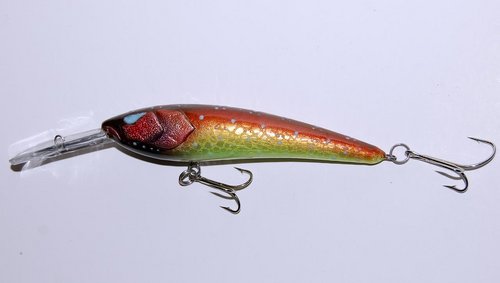1nDSC_1110.jpg