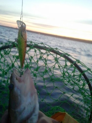 2012-07-04 00.18.12.jpg