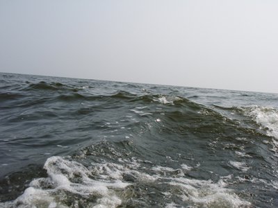 P8080261.JPG