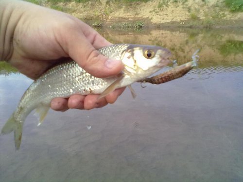 20120802965.jpg