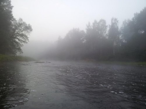 20120805_053822.jpg