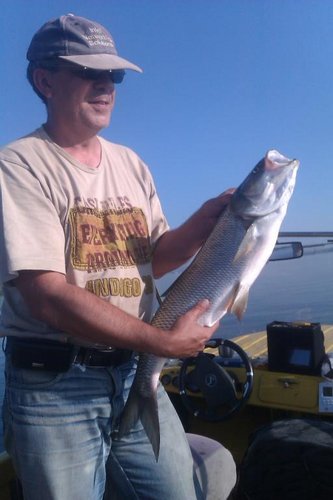 Жерех_4кг_Букатино_08_08_2012.jpg