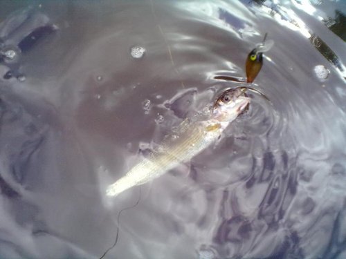 20120812971.jpg