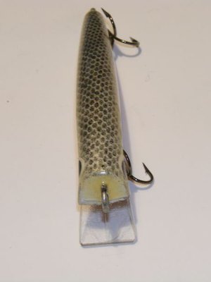 DSCF1011.JPG