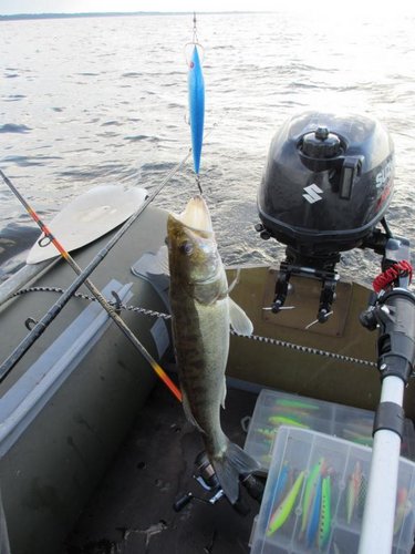 Окунь2.jpg (60.95 КБ) 1398 просмотров Поклёвки в основном "чуть живые"- на задний тройник, при этом присутствовало много сходов...