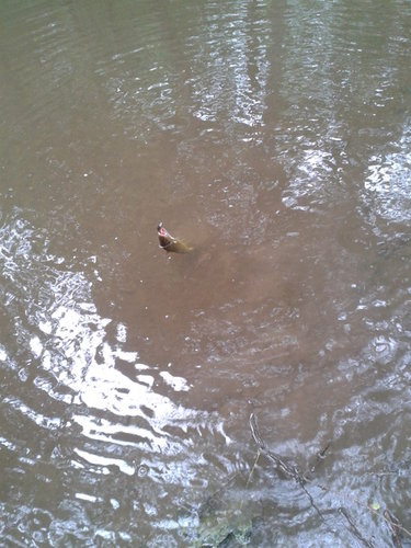 20120811131831.jpg