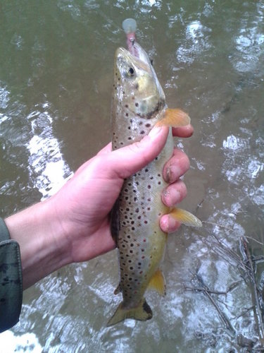20120811131931.jpg
