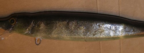 3.jpg (87.47 КБ) 1282 просмотра фольга придала эффект чушуи