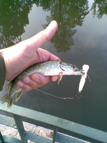 Фото026.jpg (53.13 КБ) 1823 просмотра Отрицательный результат - тоже результат. Хотя бы кто-то позарился.