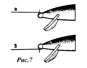 7.gif