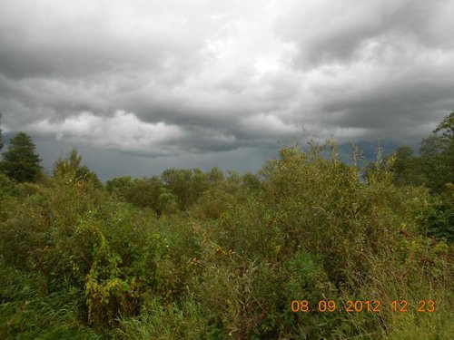 DSCN0578.JPG