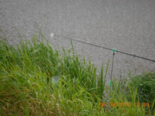 DSCN0583.JPG