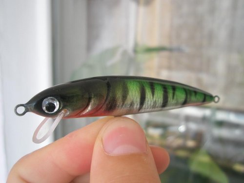 P9171330.JPG (46.43 КБ) 1448 просмотров липа 85мм 6,3гр.