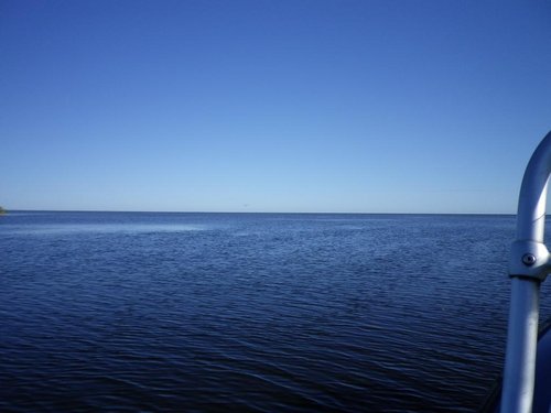 IMGP0505.JPG