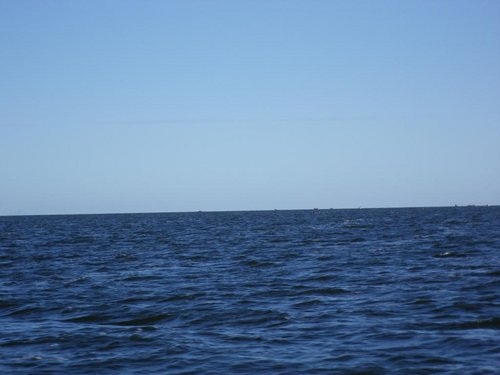 IMGP0506.JPG
