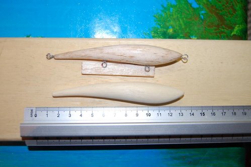 DSC_2515.JPG