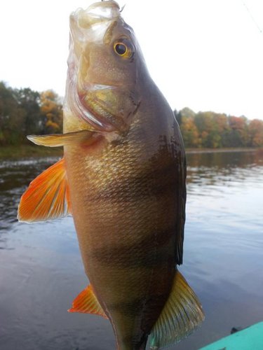 20121006_083709.jpg