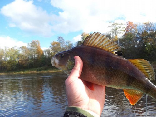 20121006_131737.jpg
