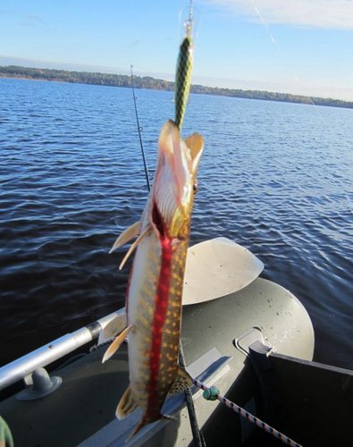 Ле1.jpg (65.35 КБ) 2109 просмотров Шед-8. На глубинах тишина...