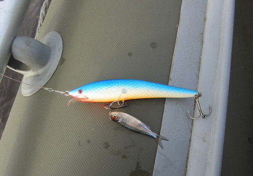 Ле5.jpg (159.43 КБ) 2109 просмотров От молька вода местами просто кипит!