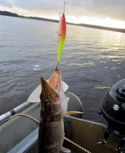 Ле7.jpg (54.39 КБ) 2109 просмотров Под вечер вдруг включили "тампакс" с жёлтой спинкой. Работает только ОК-115мм. (капля). Бывалая мелочь отдыхает...