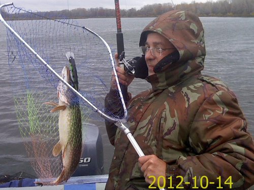 PIC121014005.jpg (121.81 КБ) 1956 просмотров Эту не выпутывал. Товарищу тоже ловить надо... Быстренько сфоткал - и снова в бой...