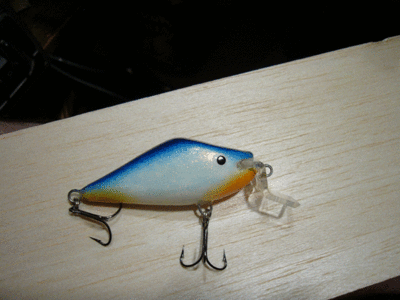 P1040684.gif