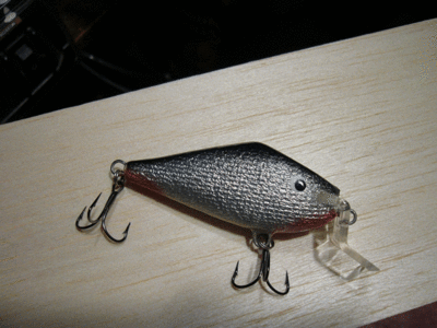 P1040686.gif