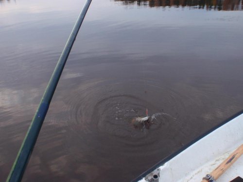 PA205128.JPG