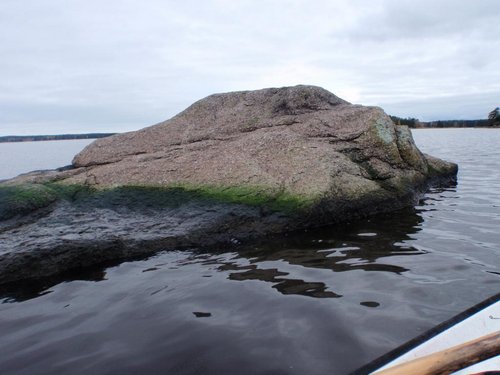 PA205133.JPG