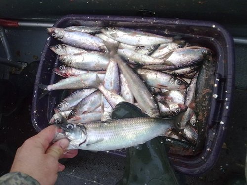 211020121559.jpg (106.31 КБ) 9355 просмотров 211020121559.jpg