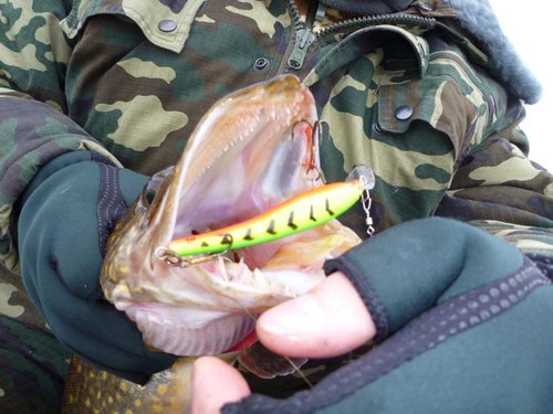 P1060688.JPG (102.41 КБ) 2266 просмотров Этот воб стабильно работает на Нарвском в-ще!