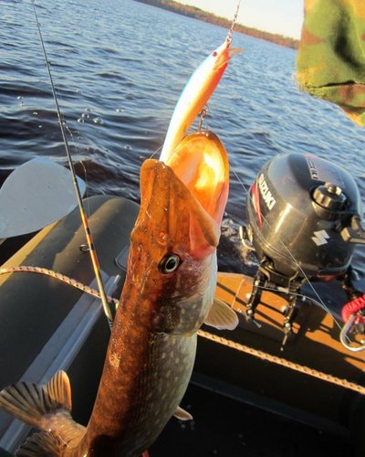 З1.jpg (73.82 КБ) 1928 просмотров На этот раз выручил синий.