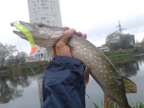 2012-10-15 17.27.43.jpg