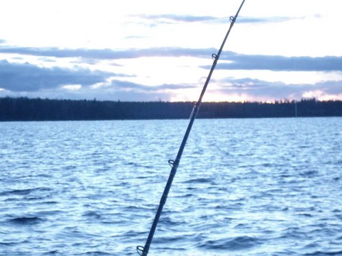 DSC05716.JPG