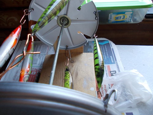 DSCN1576.JPG