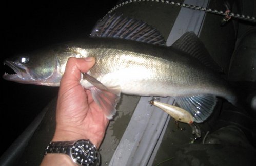 с5.jpg (74.22 КБ) 883 просмотра Самая что ни наесть Боевая расцветка по судочку! Но как-то хочется её забабахать в крапинуу