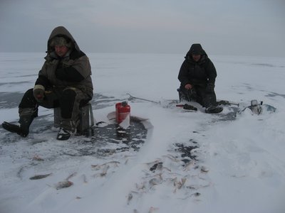 IMG_6483.jpg