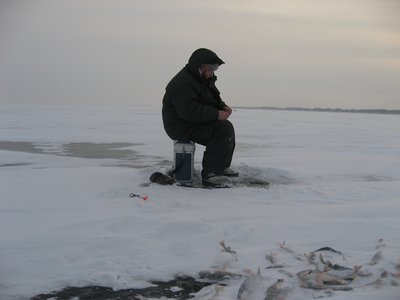 IMG_6485.jpg