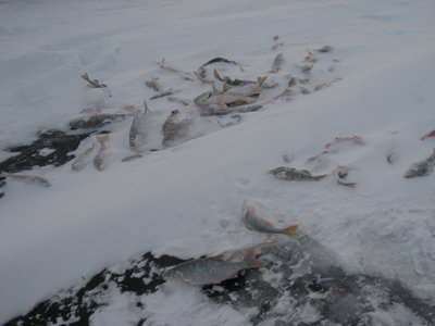 IMG_6486.jpg