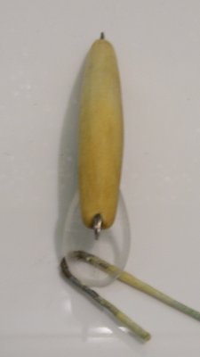 DSCF1017.jpg