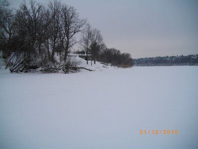 IMGP0326 (800 x 600).jpg