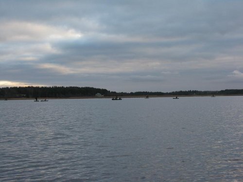 IMG_6113.jpg