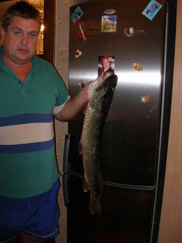 PA130009.JPG (42.68 КБ) 2008 просмотров После суток на рыбалке...почти 3кг