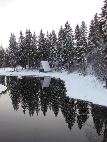 dikis oktobri 2012 (1).jpg (91.46 КБ) 2169 просмотров Октябрь 2012. Пруд