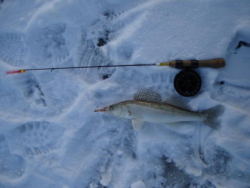 ice2012 001.jpg