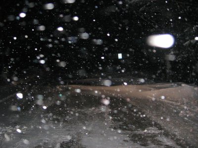 IMG_2967.jpg