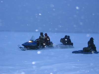 IMG_2971.jpg